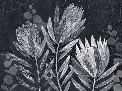 Фотообои Herbarium 19, HERBARIUM, Wall street Фотообои Herbarium 19, HERBARIUM, Wall street