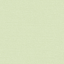 Alessandro Allori Bruni 1003-13 RBN