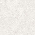 A75503