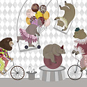 Circus 6 30856