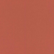 Однотонные оранжевые обои (фон) Rasch Poetry 423969