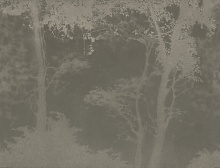 Темные фотообои Factura FLORA SIESTA 9