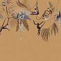 Madagascar 1