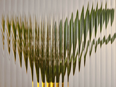 Фотообои Frame-2019: 3, FRAME-2019, Wall street