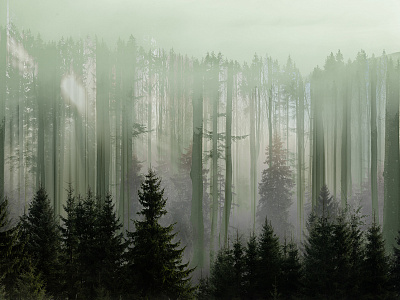 Фотообои Foresta 9, FORESTA, Wall street Фотообои Foresta 9, FORESTA, Wall street