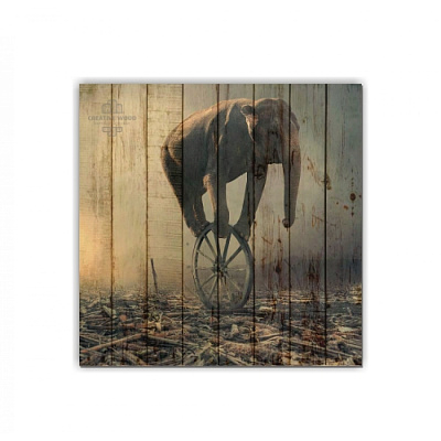 Картины ZOO - 24 Слон на колесе, ZOO, Creative Wood Картины ZOO - 24 Слон на колесе, ZOO, Creative Wood